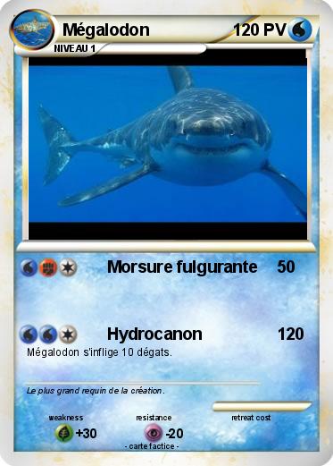 Pokemon Mégalodon