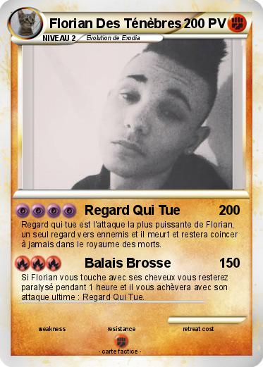 Pokemon Florian Des Ténèbres