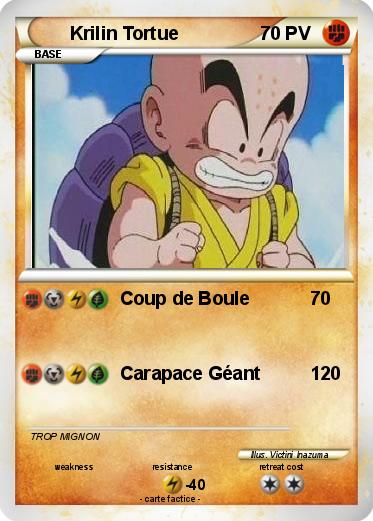 Pokemon Krilin Tortue