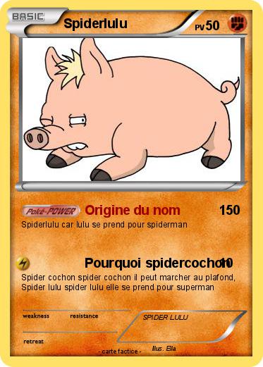 Pokemon Spiderlulu