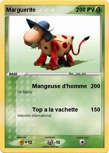Pokemon Marguerite