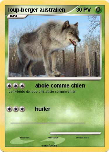 Pokemon loup-berger australien