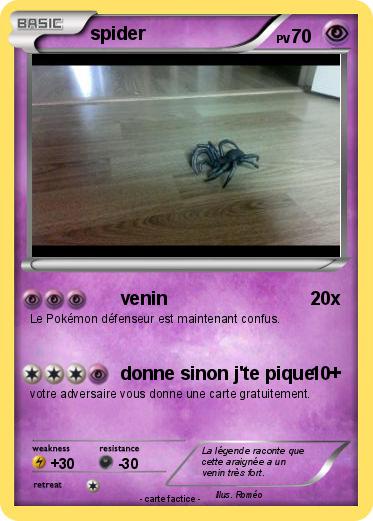 Pokemon spider