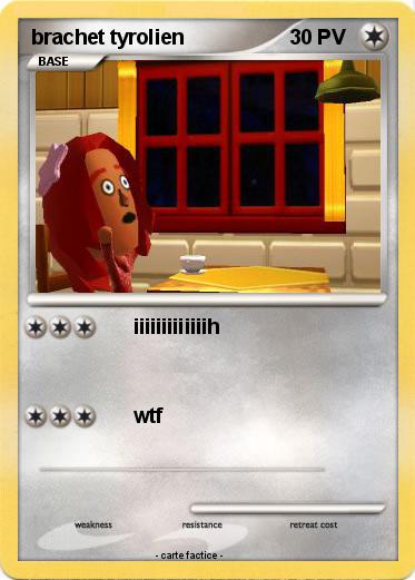 Pokemon brachet tyrolien