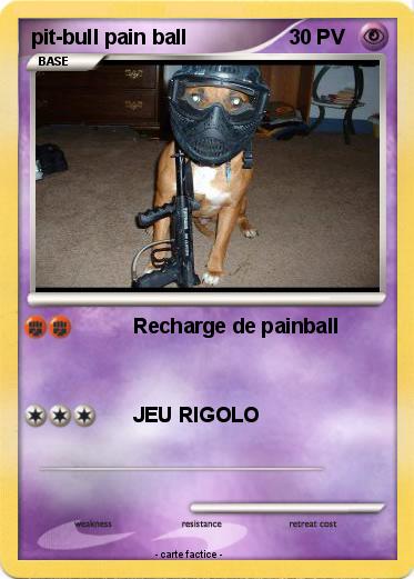 Pokemon pit-bull pain ball