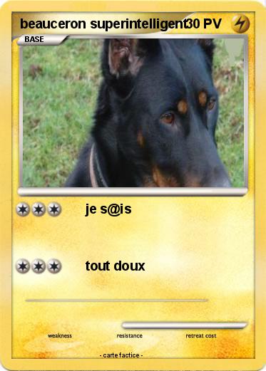 Pokemon beauceron superintelligent