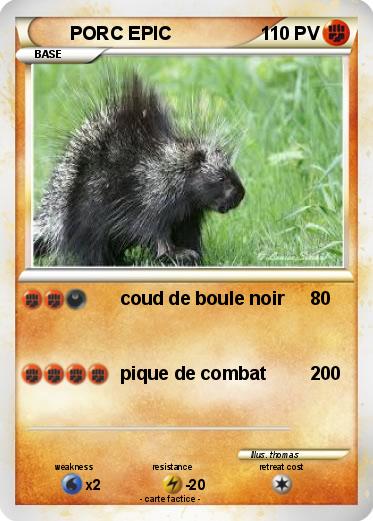 Pokemon PORC EPIC
