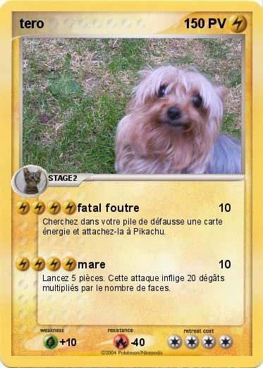 Pokemon tero