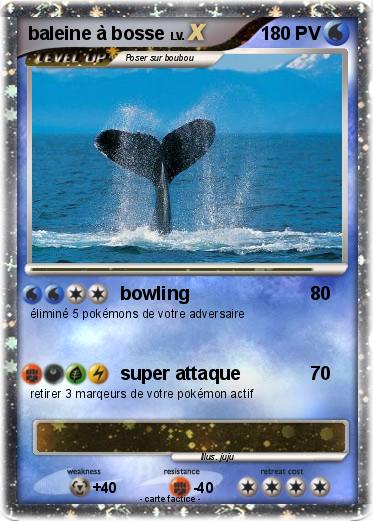 Pokemon baleine à bosse