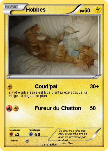 Pokemon Hobbes