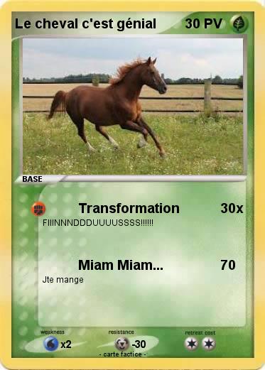 Pokemon Le cheval c'est génial