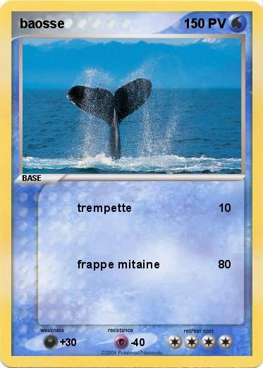 Pokemon baosse