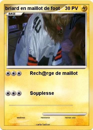 Pokemon briard en maillot de foot