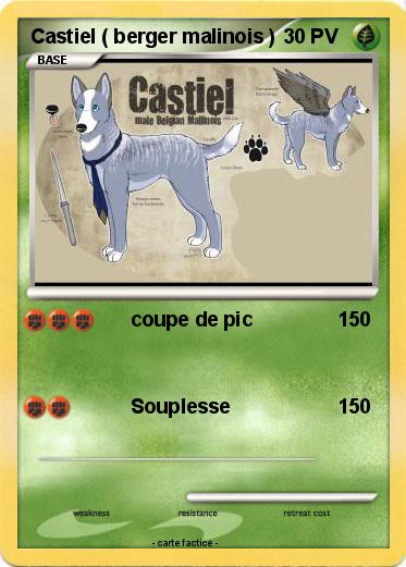 Pokemon Castiel ( berger malinois )