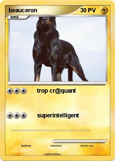 Pokemon beauceron