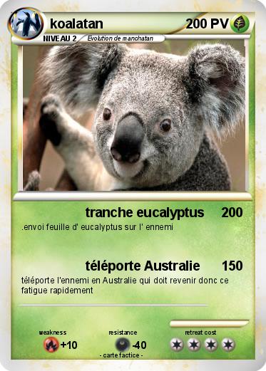 Pokemon koalatan