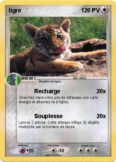Pokemon tigre