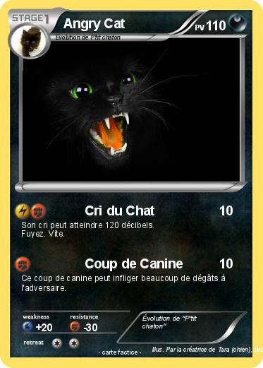 Pokemon Angry Cat