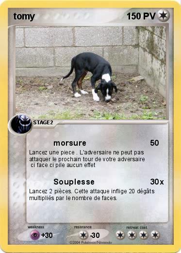 Pokemon tomy