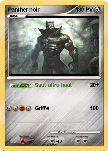 Pokemon Panther noir