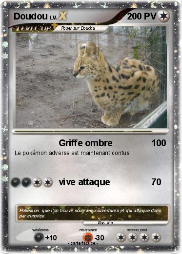 Pokemon Doudou