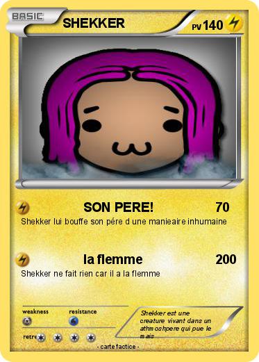 Pokemon SHEKKER