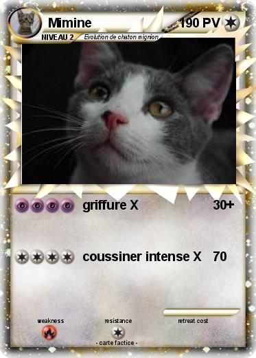 Pokemon Mimine