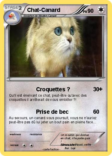 Pokemon Chat-Canard