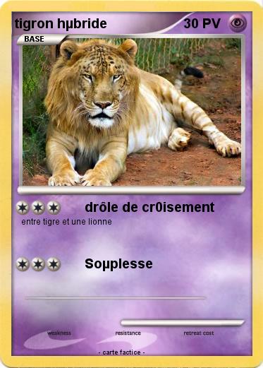 Pokemon tigron hµbride