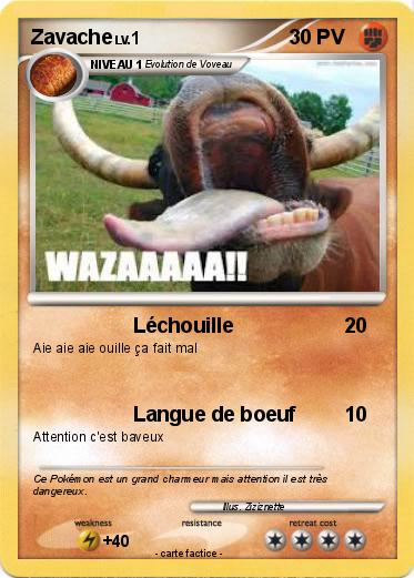 Pokemon Zavache