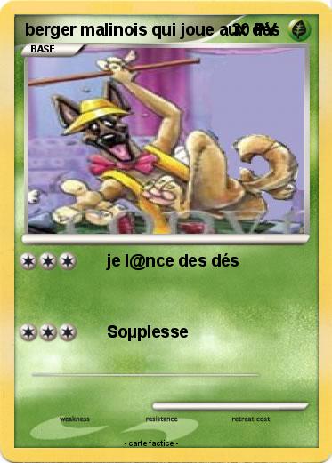 Pokemon berger malinois qui joue aux dés