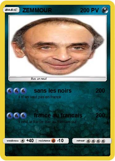 Pokemon ZEMMOUR