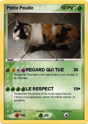 Pokemon Petite Feuille