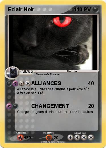 Pokemon Eclair Noir
