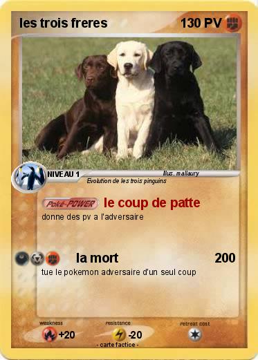 Pokemon les trois freres
