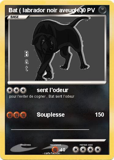 Pokemon Bat ( labrador noir aveugle )