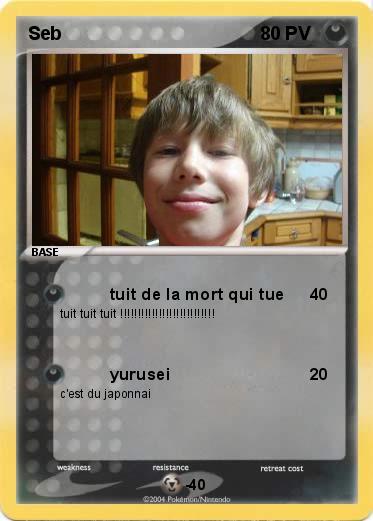 Pokemon Seb