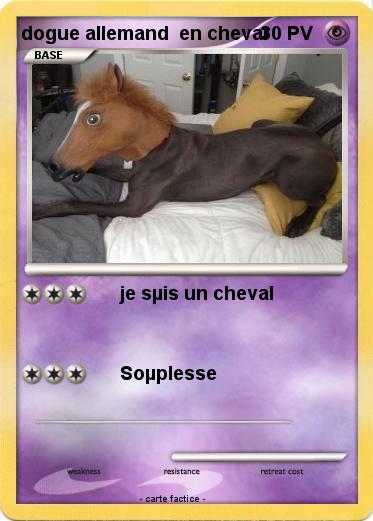 Pokemon dogue allemand  en cheval