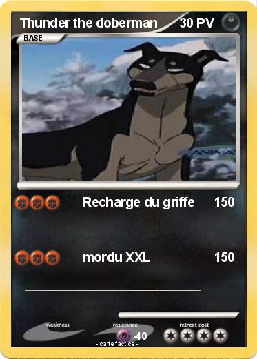 Pokemon Thunder the doberman