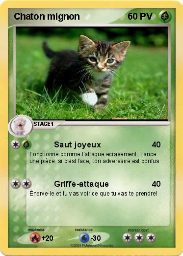 Pokemon Chaton mignon