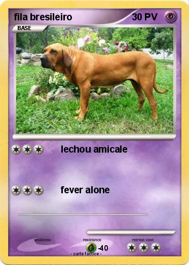 Pokemon fila bresileiro
