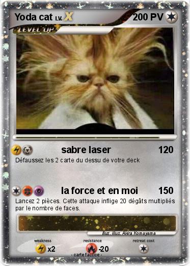 Pokemon Yoda cat