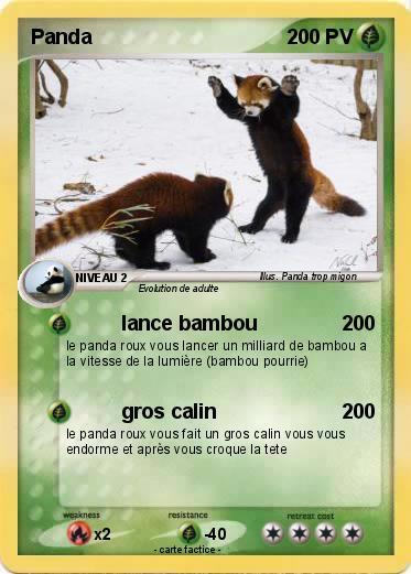 Pokemon Panda