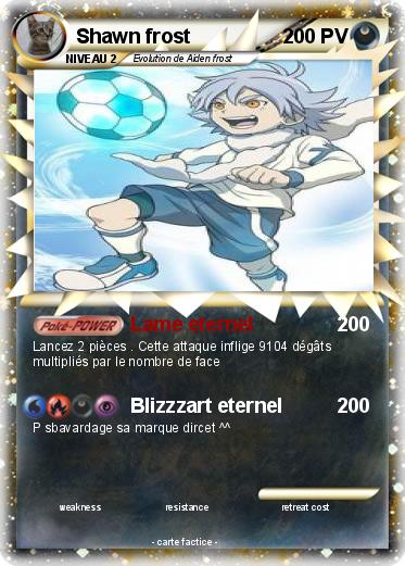 Pokemon Shawn frost