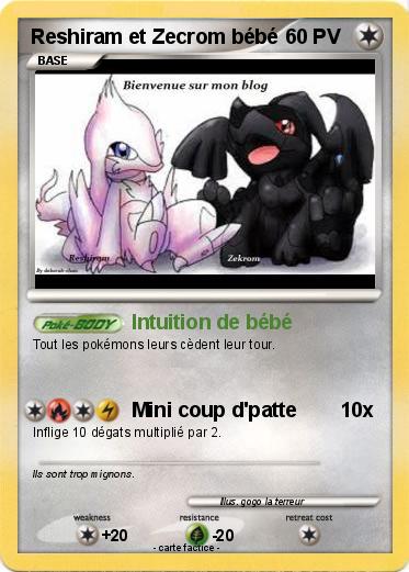 Pokemon Reshiram et Zecrom bébé