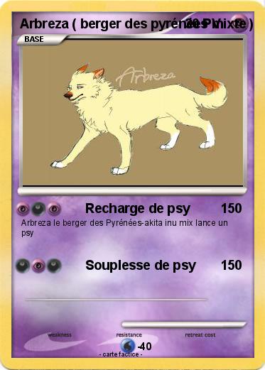 Pokemon Arbreza ( berger des pyrénées mixte )