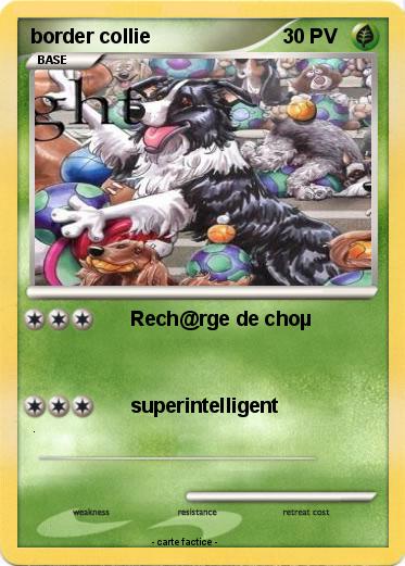 Pokemon border collie