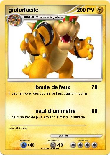 Pokemon groforfacile