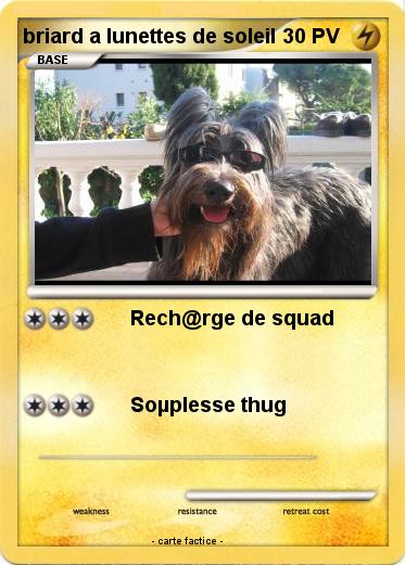 Pokemon briard a lunettes de soleil