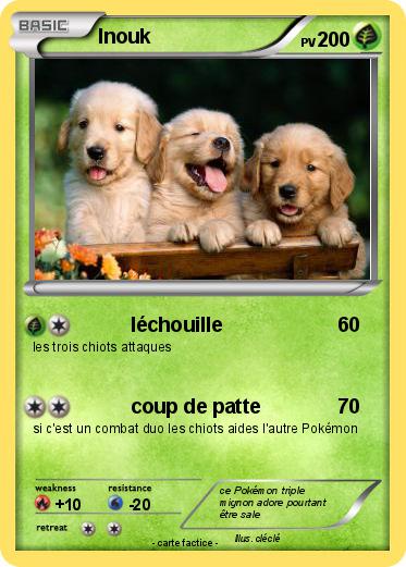 Pokemon Inouk